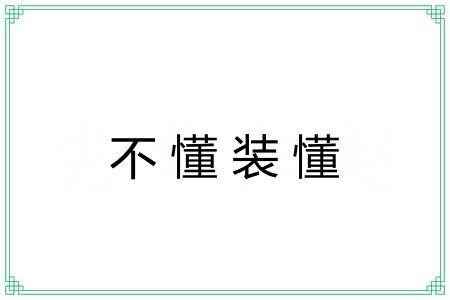 不懂装懂