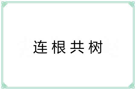 连根共树