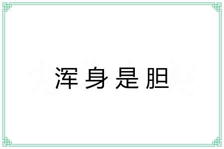 浑身是胆