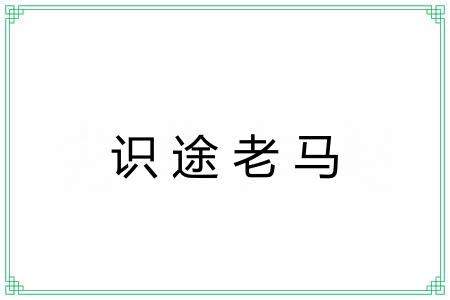 识途老马 识途老马